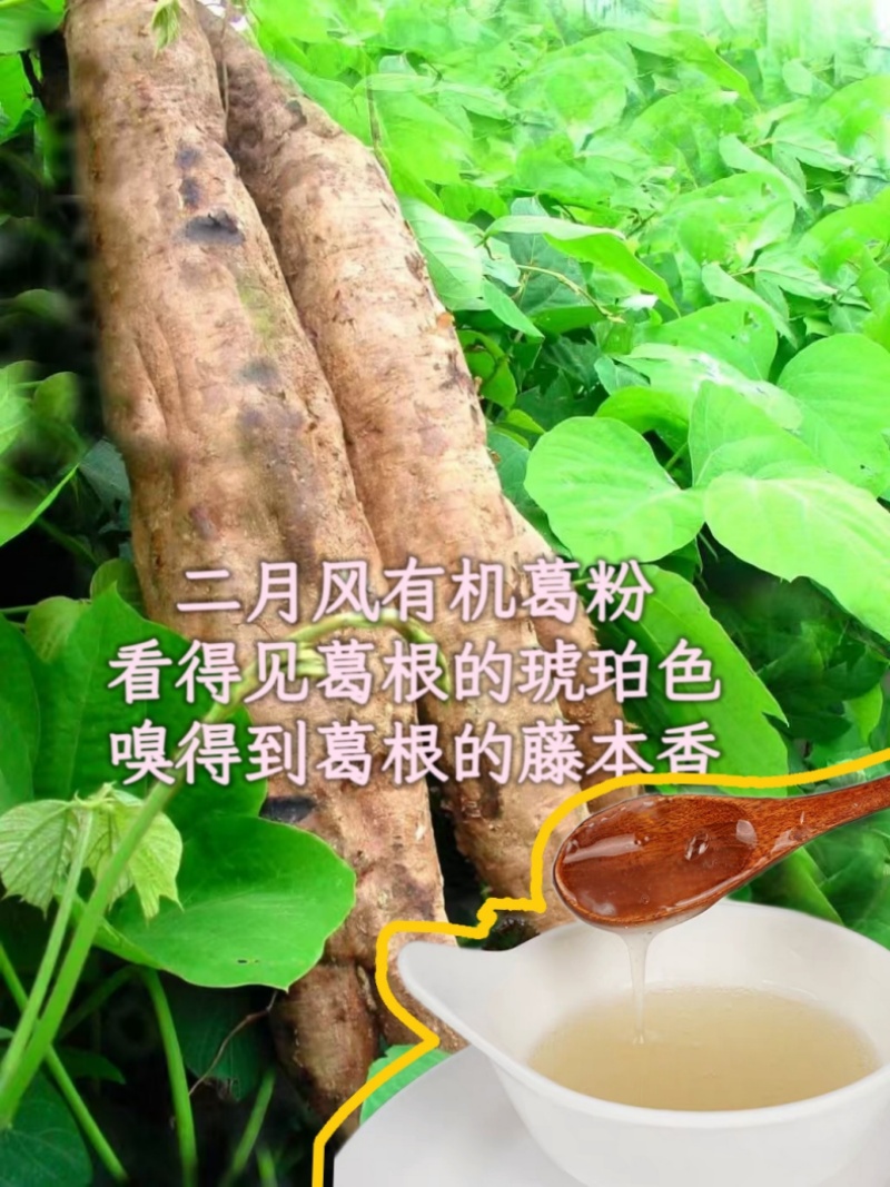 二月風(fēng)有機(jī)葛粉，看得見(jiàn)葛根的琥珀色，嗅得到葛根的藤本香_800.jpg