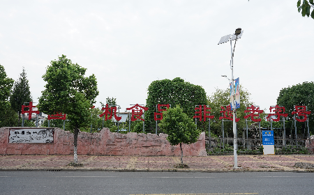 當(dāng)定制葛粉時，我們真正在選擇什么？