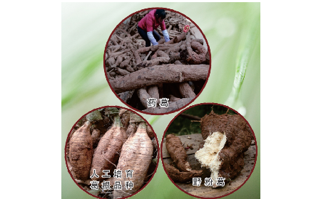 買葛粉是買野生的好？還是野生有機(jī)的好？